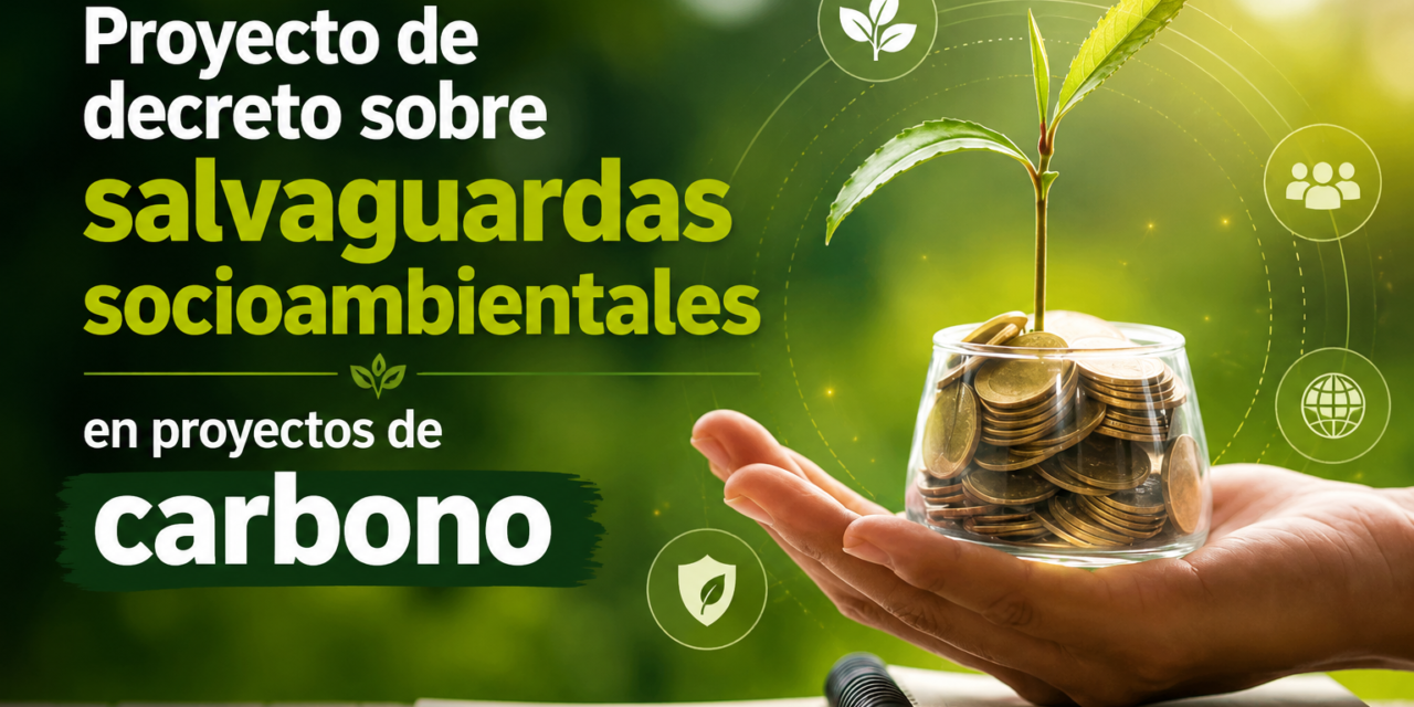 Proyecto de decreto sobre salvaguardas socioambientales en proyectos de carbono