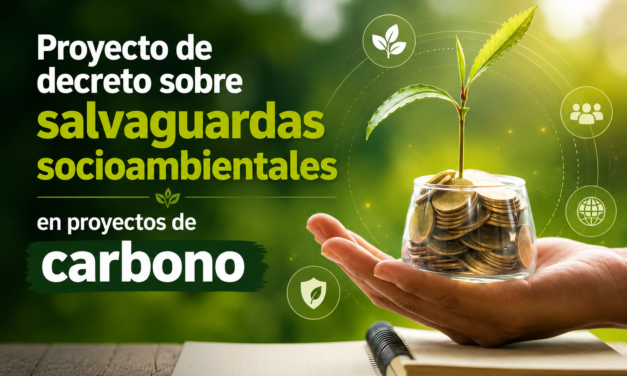 Proyecto de decreto sobre salvaguardas socioambientales en proyectos de carbono