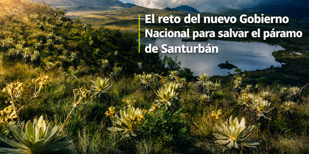 El reto del nuevo Gobierno Nacional para salvar el Páramo de Santurbán