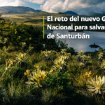 El reto del nuevo Gobierno Nacional para salvar el Páramo de Santurbán