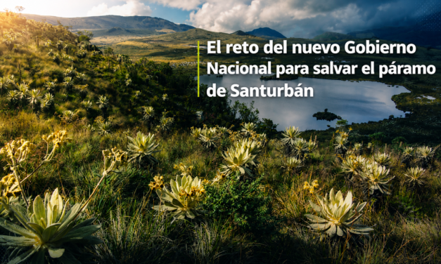 El reto del nuevo Gobierno Nacional para salvar el Páramo de Santurbán